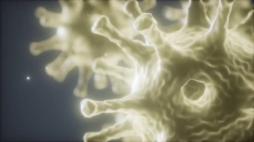Animated 3D Microscopic Virus Particle for Medical Science