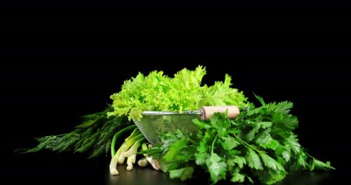 Fresh Vegetables: Dill, Lettuce, Onions, and Parsley