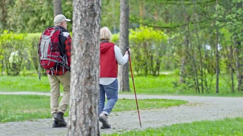 Active Senior Couple Walking in Park