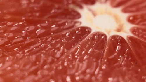 Flesh Of Grapefruit Close Up
