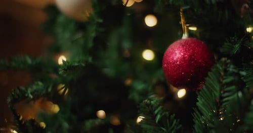 Christmas Tree Ornament and Lights