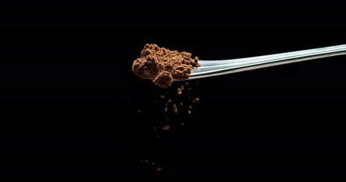Nutmeg, myristica fragans, Powder falling against Black Background, Slow Motion 4K