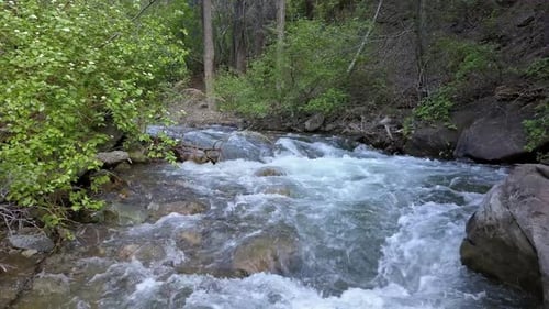 Fliegt tief über den American Fork River flussaufwärts