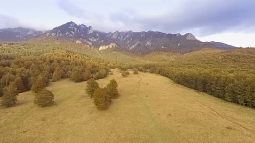 Fly Over Autumn Forest