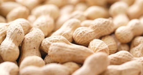 Close Up of Peanuts in Shells