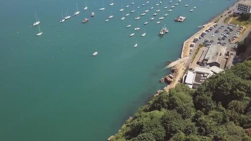 Beautiful aerial reveal of a marina full of sail boats, trees in the foreground