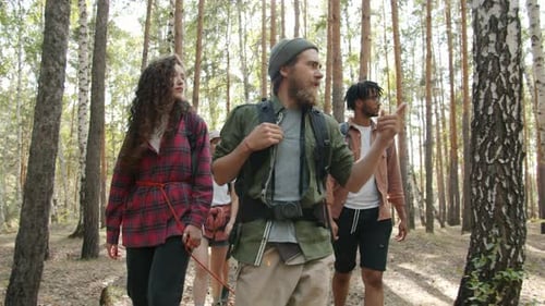 Slow Motion Portrait of Cheerful Men and Women Walking in Woods Together Enjoying Getaway