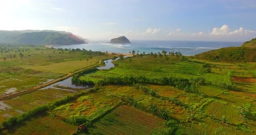 View of green fields