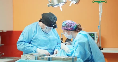 Surgeons Performing Delicate Operation in Hospital Room