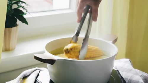 Cooking Fresh Corn on the Cob in Pot