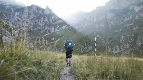 Person Walking on a Trail with Scenic Background During Autumn