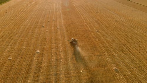 Aerial View Combine Harvester Gathers the Wheat Crop. Wheat Harvesting Shears. Combines in the Field