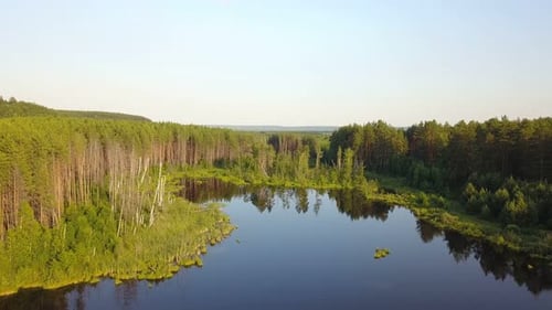 Nature Pond Lake Water And Green Forest