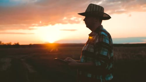 Farmer Using Tablet at Colorful Sunset
