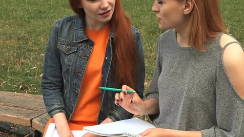 Two Young Women Collaborate on Project in Park