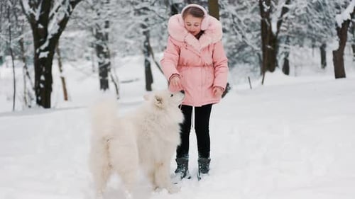 Girl Plays With Dog in Snowy Winter Park