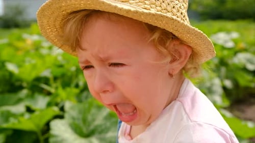 The Child is Crying in the Park