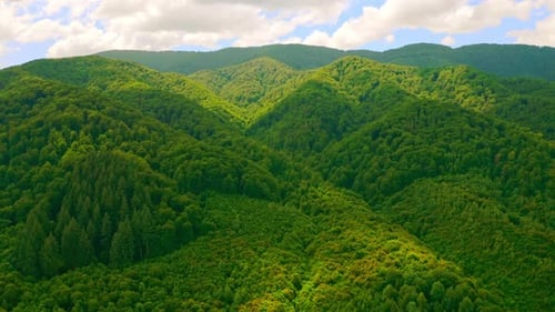 Lush Green Mountains Aerial View
