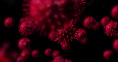 Animated Red Virus Microorganism Particles Background