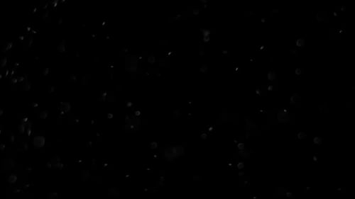 Particles