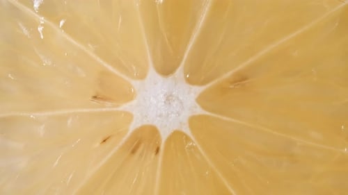 Extreme Close-Up of a Fresh, Yellow Lemon Slice