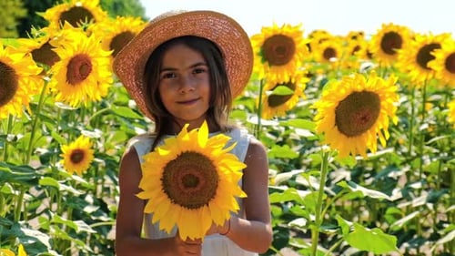 A Child in a Field of Sunflowers