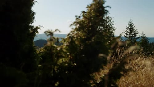 Happy Man Trekking in Summer Mountains