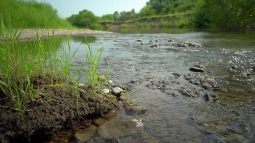 Sauberer Fluss in der Natur