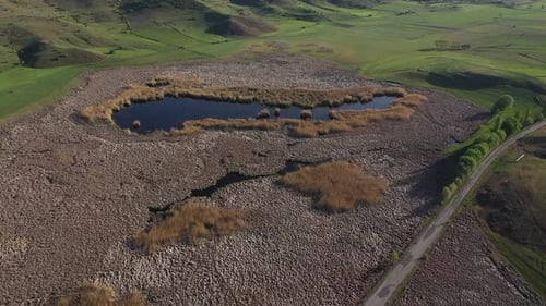 Aerial View Of Reeds Covered Lake 3