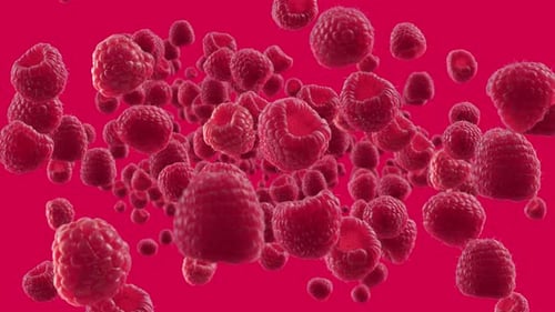 Floating Red Raspberries on a Red Background