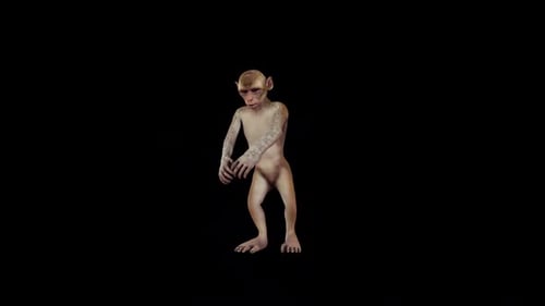 Funny Monkey Dancing