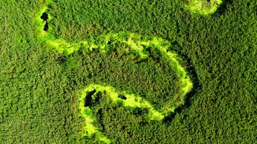 Kleiner Fluss und grüne Sümpfe, Luftaufnahme, Polen