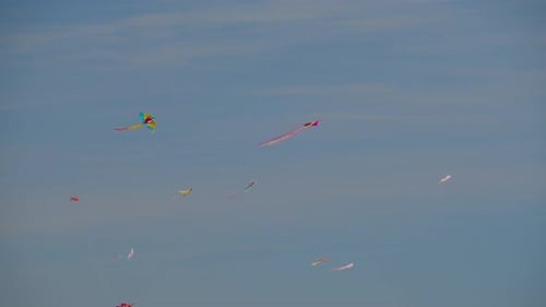 A flying flock of multicolor kites