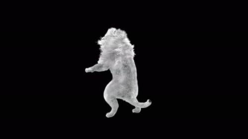 80 White Tiger Standing Magic Attack 4K