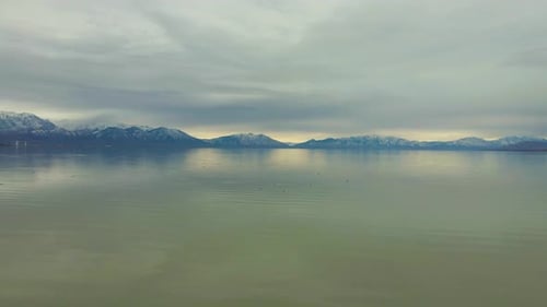 Flying above a seemingly endlessly large lake with seagulls below on the water and snowy mountains i