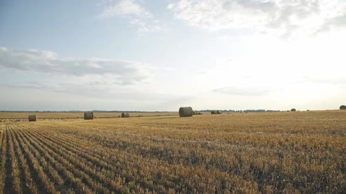 Contrast Viewing of Spacious Haycock Field with Bright Sunset