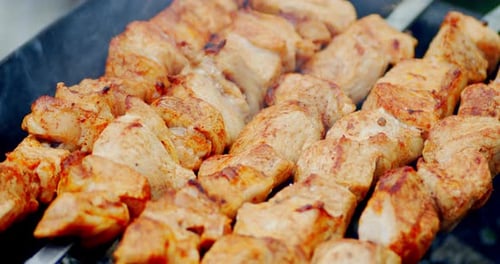Meat Cooking on a Shish Kabob Close Up