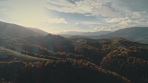 Forêts pittoresques sur les pentes des collines éclairées par la lumière du soleil