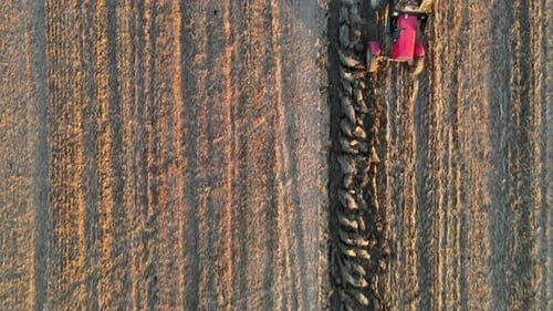 Tractor Preparing Land on Plowed Field for Sowing