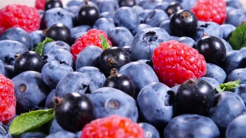 Close Up of Fresh Blueberries, Currants, and Raspberries