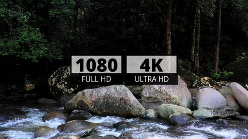 AH - Forest River 03