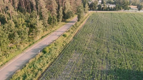 Scenic Aerial View of Road Through Countryside