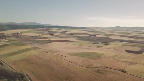 Observing view of spacious farming fields in sunlight