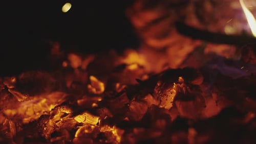 Wood Embers And Glowing Coals Close-Up