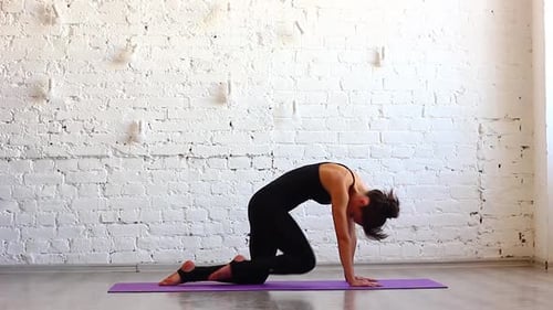 Woman Leggings Tshirt Engaged Yoga Purple Fitness Mat in the Studio with Natural Consecration