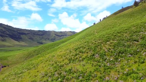 Landscape Green Hills