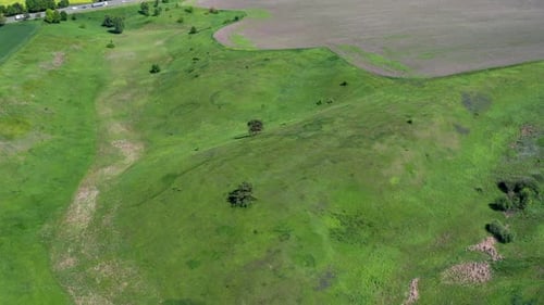 A beautiful flight in the spring on a quadcopter over a field with green grass.