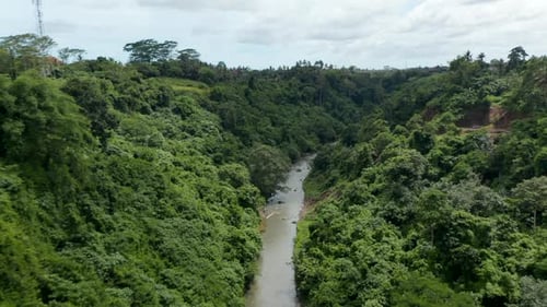 Luftaufnahme eines schnell fließenden Dschungelflusses, der durch den Canyon in einem tropischen Regenwald fließt