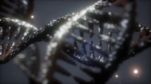 Double Helical Structure of Dna Strand Close-up Animation