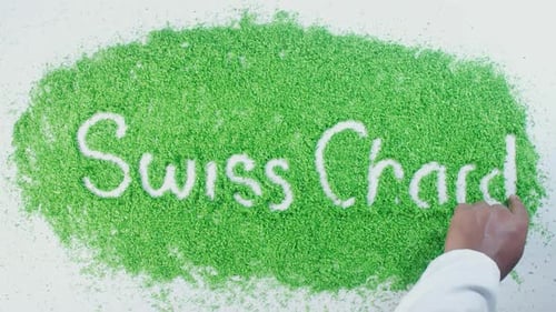 Green Hand Writing Swiss Chard